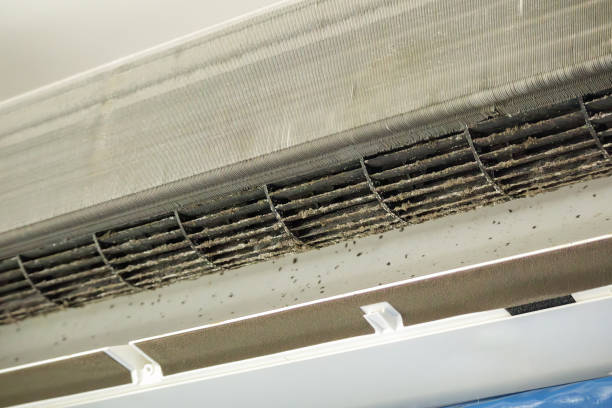 Best Emergency Air Duct Cleaning  in Crimora, VA